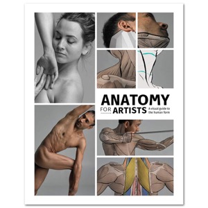 Anatomy For Artists: A Visual Guide To The Human Form