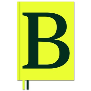 Serif in Use: Creative Typefaces and Their Applications