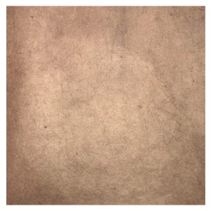 LOKTA DYED EARTH