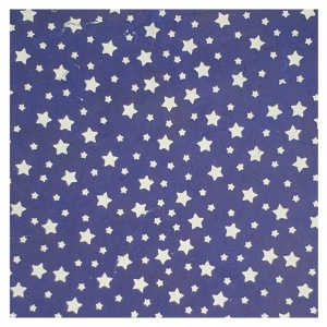 LOKTA PRINT STARS WHITE/DRK BLUE