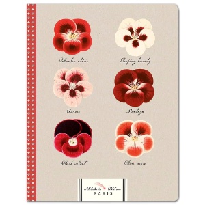 ALIBABETTE COMP GERANIUMS