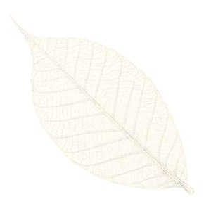 Black Ink Rubber Leaves 3" 10 Pack White