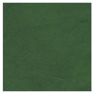 Black Ink Lokta Paper 20"x30" Grass Green