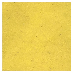 Black Ink Lokta Paper 20"x30" Lemon Yellow