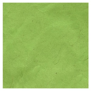 Black Ink Lokta Paper 20"x30" Apple Green