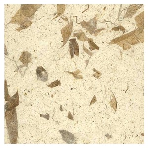 Black Ink Natural Mango Paper 8.5"x11" Natural