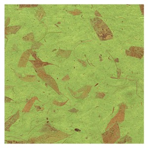 Black Ink Natural Mango Paper 8.5"x11" Spring Green