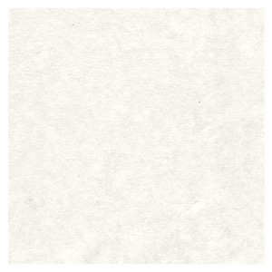 Black Ink Thai Smooth Mulberry Paper 8.5"x11" Natural White
