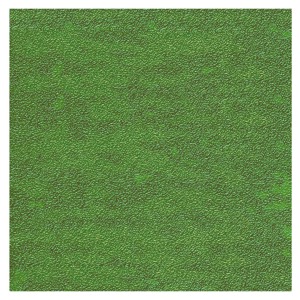 Black Ink Iridescent Paper 8.5"x11" Festive Green