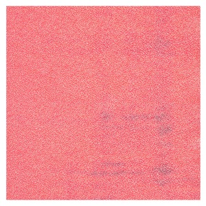 Black Ink Iridescent Paper 8.5"x11" Melon
