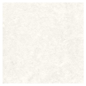 Black Ink Garden Series Smooth Mulberry Paper 22"x30" Natural White