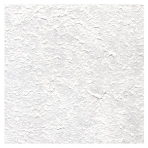 Black Ink Garden Series Rough Mulberry Paper 22"x30" Natural White