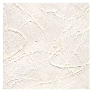 Black Ink Garden Series Chaotic Strings Paper 22"x30" Natural White