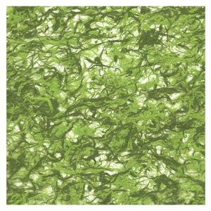 Black Ink Kozo Fiber Paper 25"x37" Lime/Olive
