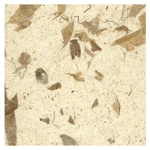 Black Ink Natural Mango Paper 25"x37" Natural