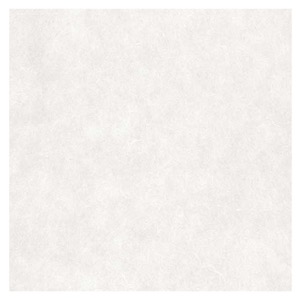 Black Ink Bleached Mulberry Paper 25"x37" White
