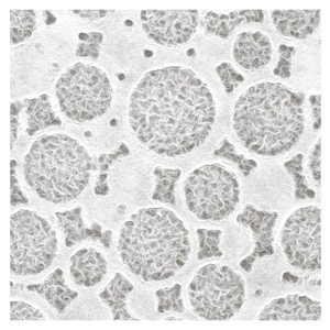 Black Ink Lace Patterned Rings Mulberry Paper 25"x37" White