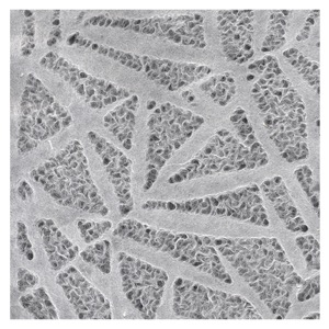 Black Ink Lace Patterned Bamboo Leaves Mulberry Paper 25"x37" White
