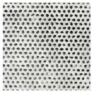 Black Ink Lace Heavyweight Honeycomb Paper 25"x37" White