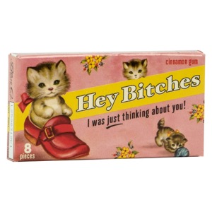 Blue Q Cinnamon Gum 8 Piece Hey Bitches