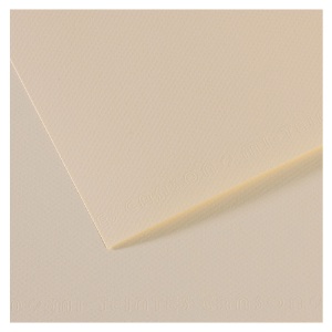 Canson Mi-Teintes Artist Series Pastel Paper 19"x25" Lily 110