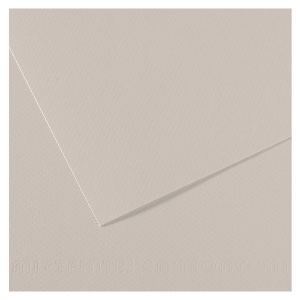 Canson Mi-Teintes Artist Series Pastel Paper 19"x25" Pearl Gray 120