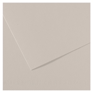Canson Artist Series Mi-Teintes Pastel Paper 19"x25" Pearl Gray 120