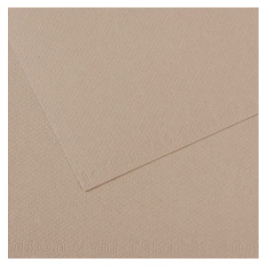 Canson Artist Series Mi-Teintes Pastel Paper 19"x25" Flannel 122