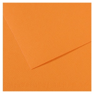 Canson Artist Series Mi-Teintes Pastel Paper 19"x25" Buff 384