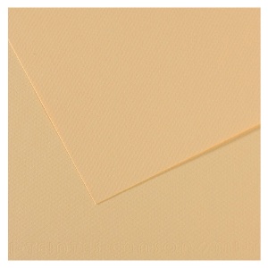 Canson Mi-Teintes Artist Series Pastel Paper 19"x25" Cream 407