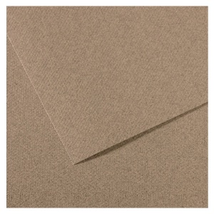 Canson Mi-Teintes Artist Series Pastel Paper 19"x25" Steel Grey 431