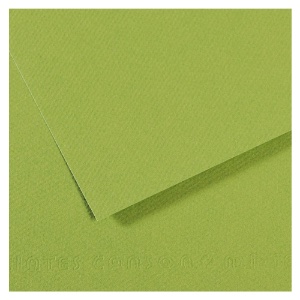 Canson Artist Series Mi-Teintes Pastel Paper 19"x25" Apple Green 475