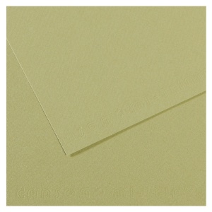 Canson Artist Series Mi-Teintes Pastel Paper 19"x25" Light Green 480