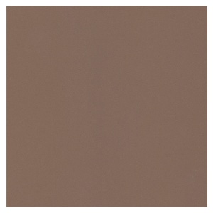 Canson Artist Series Mi-Teintes Touch Pastel Paper Sheet 22"x30" Sepia