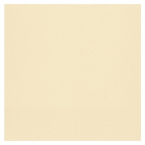 Canson Artist Series Mi-Teintes Touch Pastel Paper Sheet 22"x30" Cream