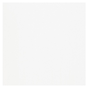 Canson Mi-Teintes Touch Pastel Paper 22"x33" White