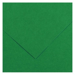 Canson Colorline Paper 19.5"x25.5" 300gsm Moss Green