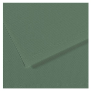 Canson Mi-Teintes Artist Series Pastel Paper 19"x25" Sage Green 190