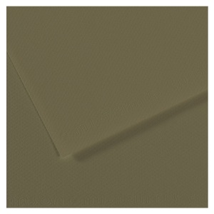 Canson Mi-Teintes Artist Series Pastel Paper 19"x25" Olive Green 191