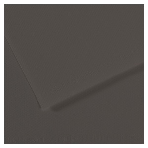 Canson Mi-Teintes Artist Series Pastel Paper 19"x25" Charcoal Grey 184