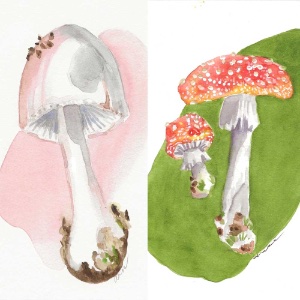 In the Studio: Watercolor Mushrooms with Anne Kupillas 4/26