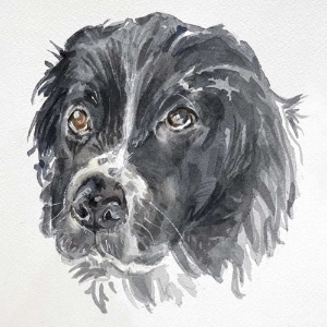 In the Studio: Watercolor Pet Portraits with Anne Kupillas 6/22