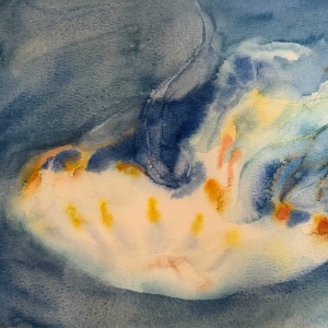 Paint Jellyfish in Watercolor: Wet into Wet, with Anne Kupillas 8/22