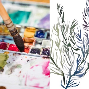 In the Studio: Watercolor Basics with Anne Kupillas 9/14