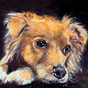 Pet Portraiture with Sarah Lew 6/14