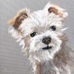 Pet Portraits in Acrylic with Sarah Lew 9/6
