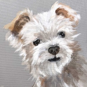 Small Pet Portraits with Sarah Lew 11/19