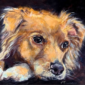 Pet Portraits with Sarah Lew 12/14