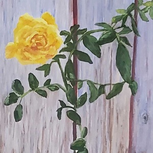 Painting in Water Mixable Oils with Sarah McCourt 4/23