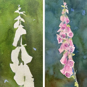 Paint a Foxglove in Watercolor with Anne Kupillas 3/14